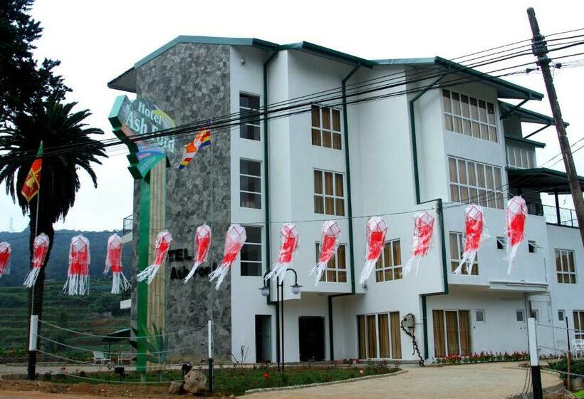 스탠다드 룸, Ashford