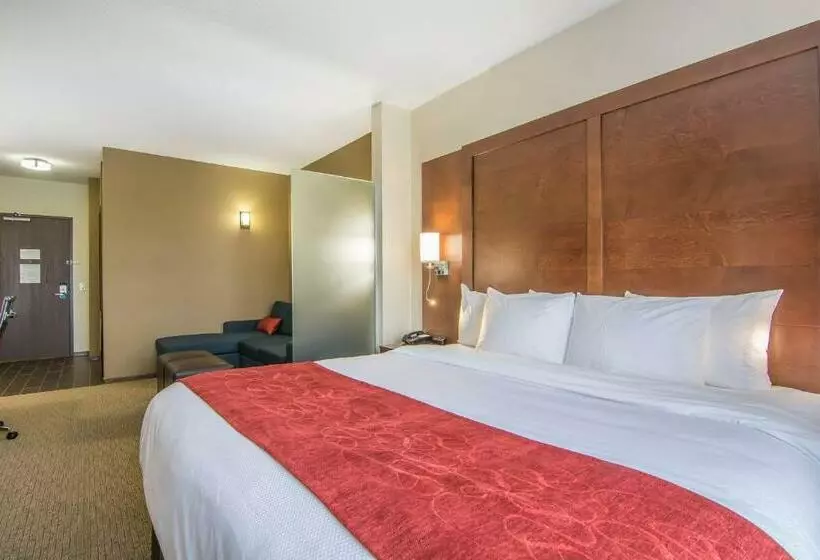 キングサイズベッドのスイートルーム, Comfort Suites Regina