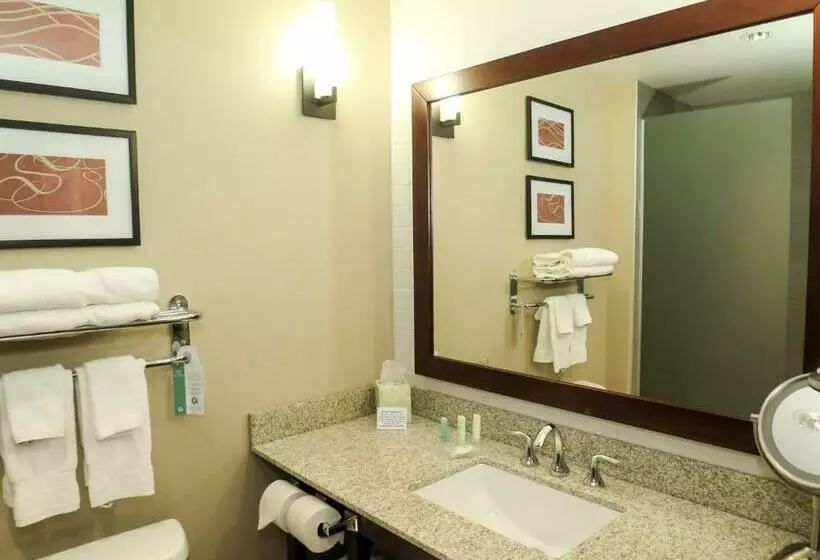 スイート, Comfort Suites Regina