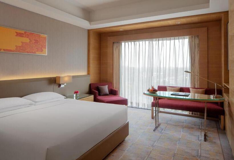 带大床的标准间, Hyatt Regency Chandigarh