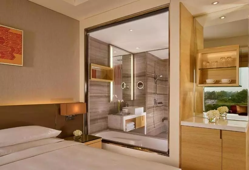 シングルデラックスルーム, Hyatt Regency Chandigarh