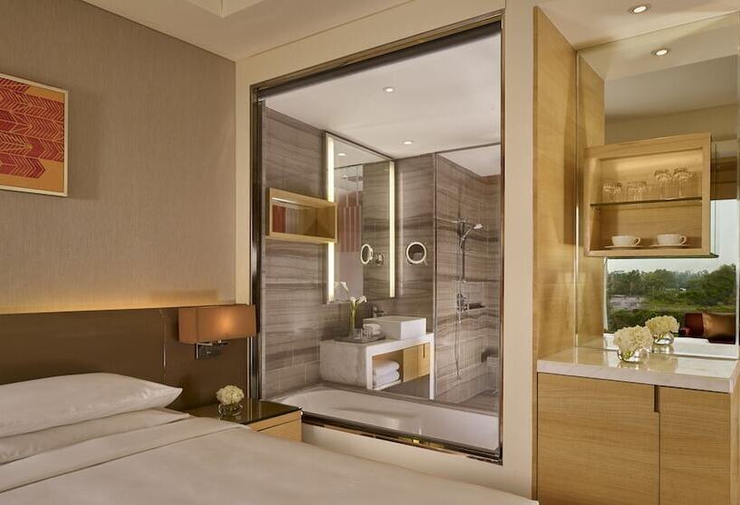 带大床的标准间, Hyatt Regency Chandigarh