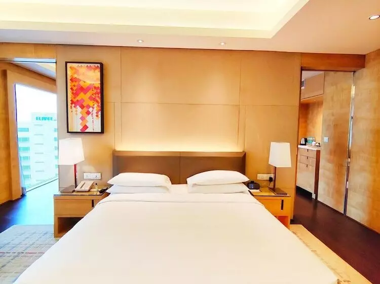 エクゼクティブスイート, Hyatt Regency Chandigarh
