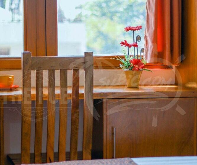 اتاق استاندارد, The Pub