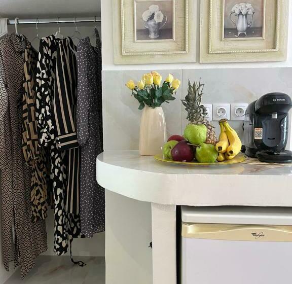 غرفة قياسية, Naxos Philoxenia