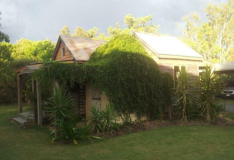 标准房带园景, The Laurels Of Chinchilla