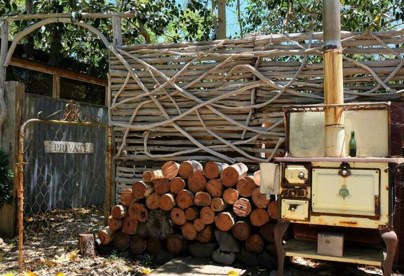 标准平房, The Laurels Of Chinchilla