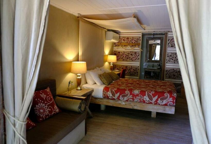 标准房带园景, The Laurels Of Chinchilla