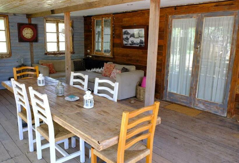 标准平房, The Laurels Of Chinchilla