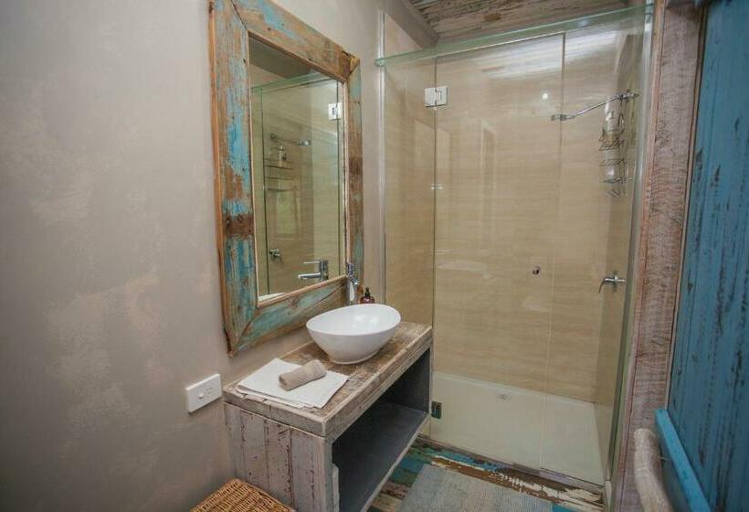 标准房带园景, The Laurels Of Chinchilla