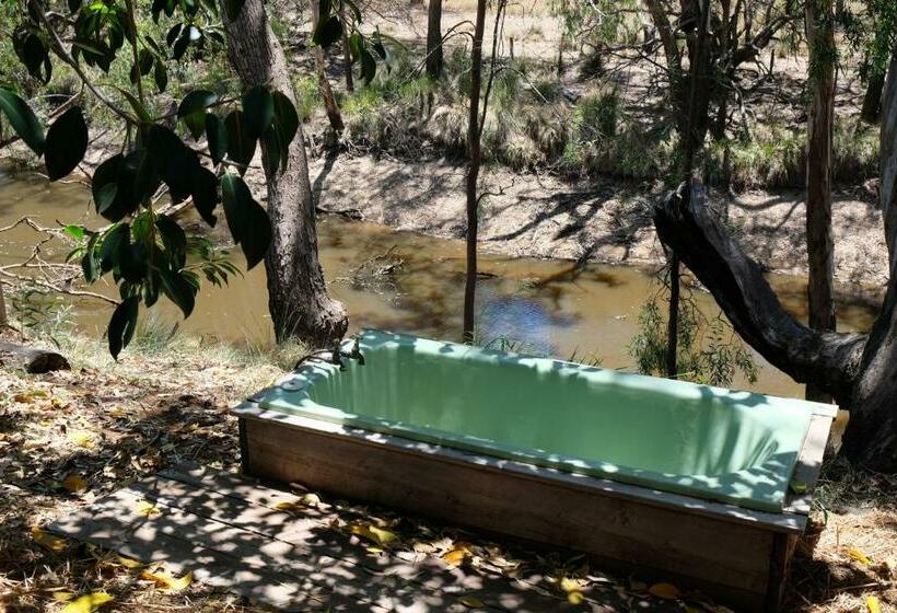标准平房, The Laurels Of Chinchilla