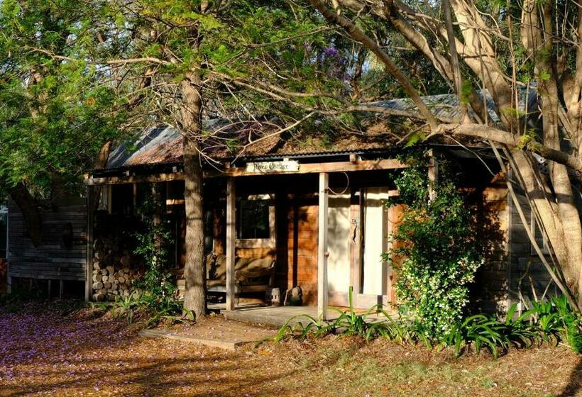 标准平房, The Laurels Of Chinchilla