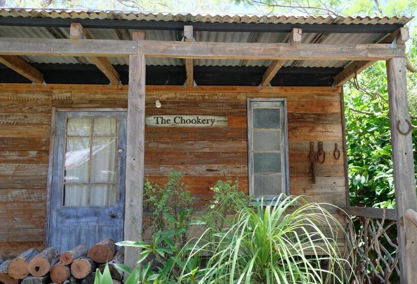 1间卧室的房子, The Laurels Of Chinchilla