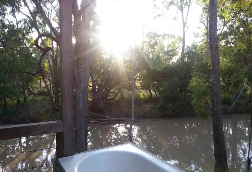 1间卧室的房子, The Laurels Of Chinchilla