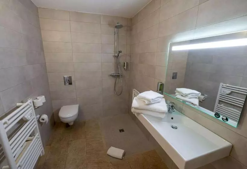 身障者適用クイーンサイズベッドルーム, Best Western Hotel Casa Bianca