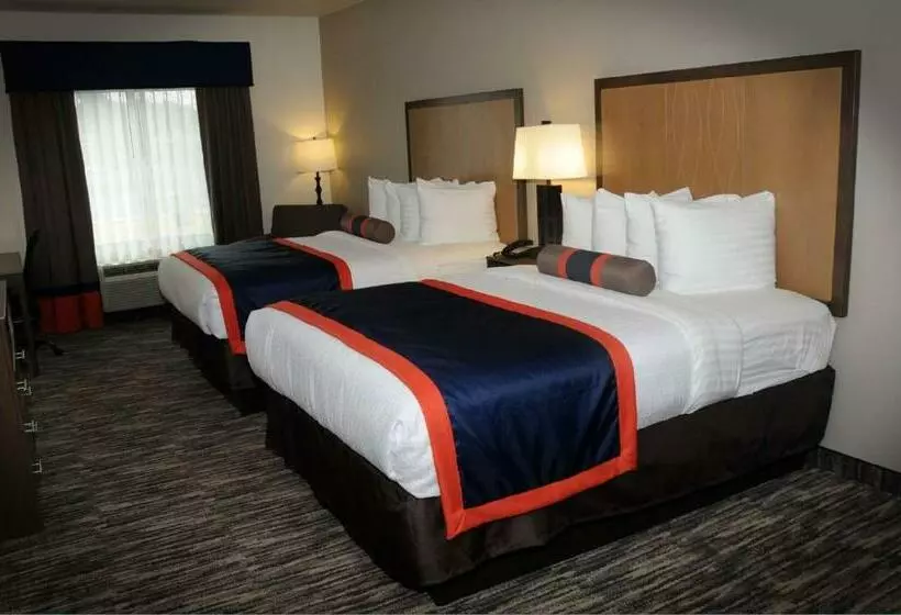 身障者適用スタンダードルーム, Best Western Plus Ardmore Inn & Suites