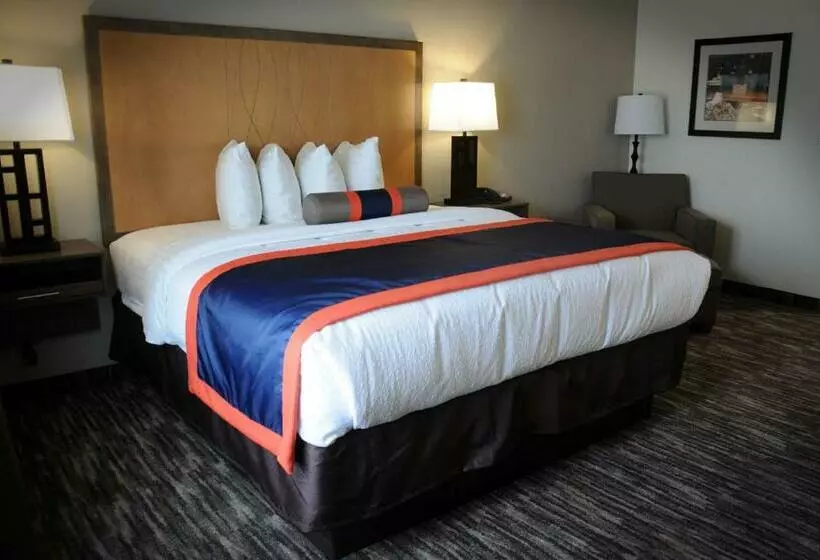 身障者適用キングサイズベッドルーム, Best Western Plus Ardmore Inn & Suites