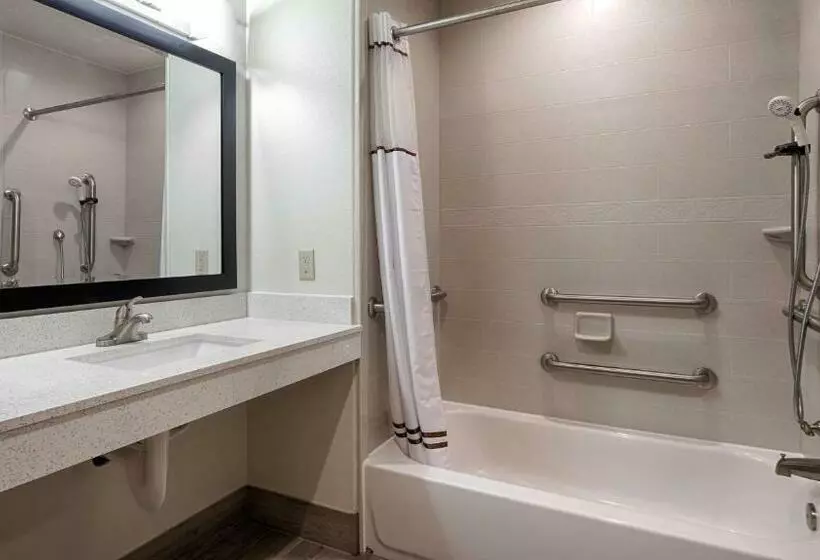 身障者適用キングサイズベッドルーム, Best Western Plus Ardmore Inn & Suites