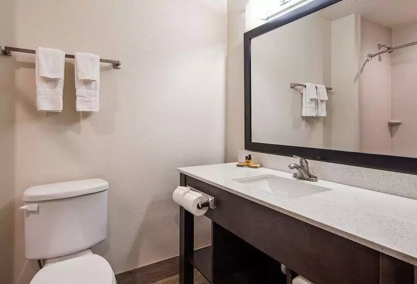 ２ダブルベッドのスタンダードルーム, Best Western Plus Ardmore Inn & Suites