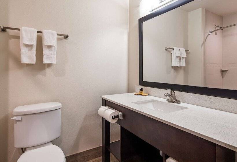 جناح, Best Western Plus Ardmore Inn & Suites