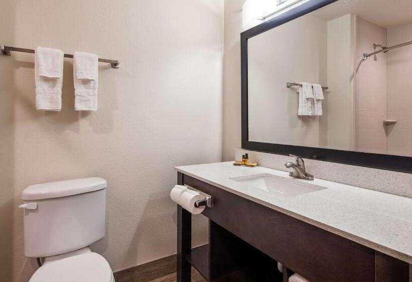 جناح لذوى الاحتياجات الخاصة, Best Western Plus Ardmore Inn & Suites