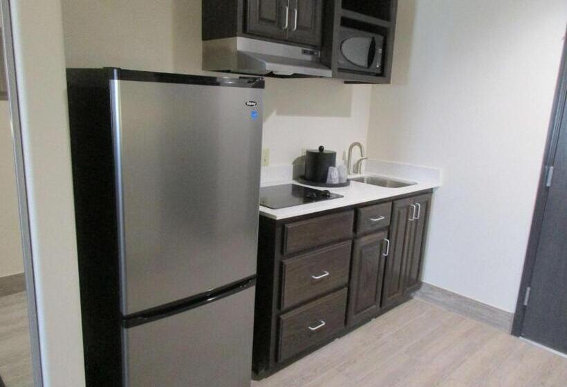 جناح ديلوكس سرير كينج, Best Western Plus Ardmore Inn & Suites