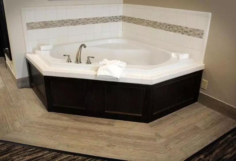 キングサイズベッドのスタンダードルーム, Best Western Plus Ardmore Inn & Suites