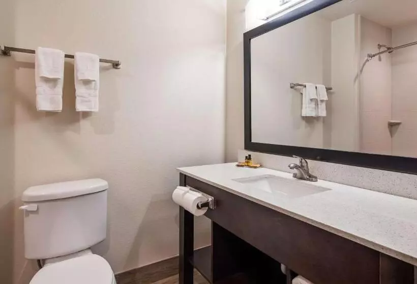 キングサイズベッドのスイートルーム, Best Western Plus Ardmore Inn & Suites