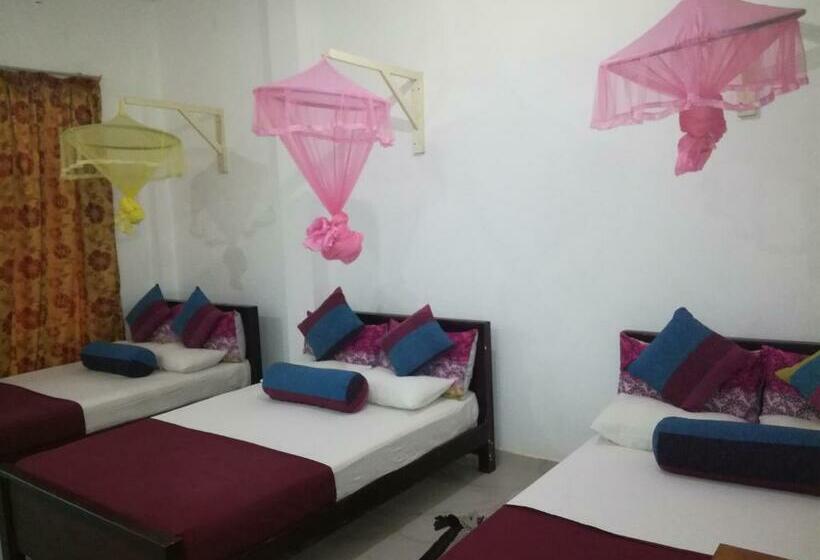 Chambre Familiale, Bevary City