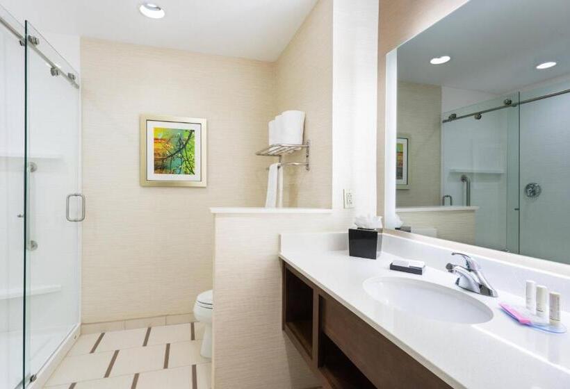 带大床的标准间, Fairfield Inn & Suites By Marriott Fort Stockton