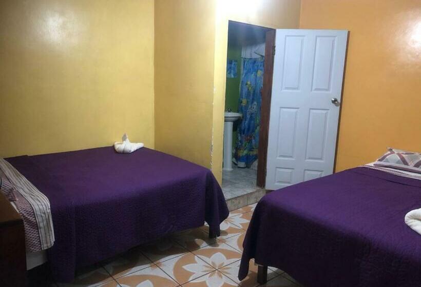 اتاق استاندارد, Marjenny