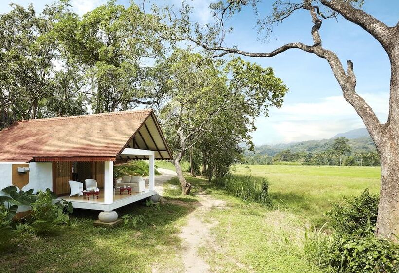 シングルデラックスルーム, Jetwing Kaduruketha