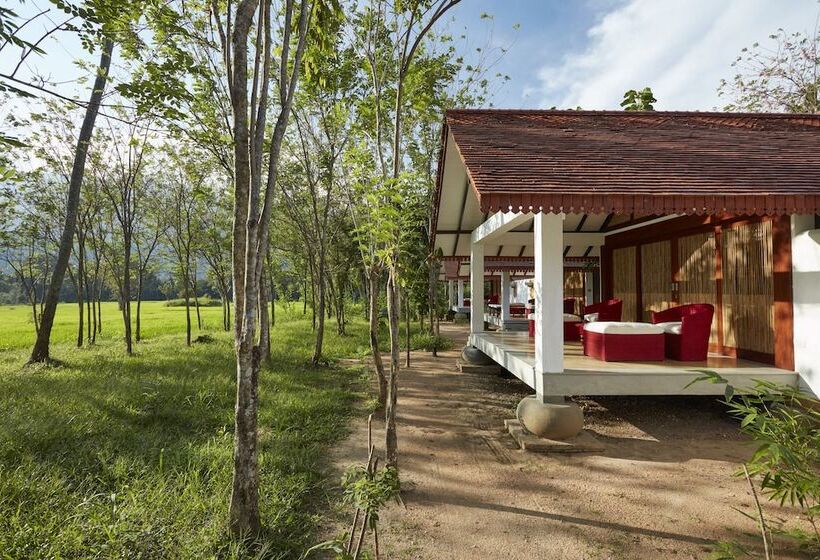 シングルデラックスルーム, Jetwing Kaduruketha