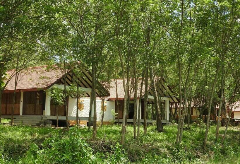 シングルデラックスルーム, Jetwing Kaduruketha