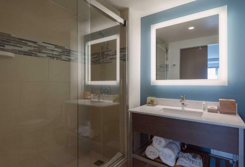 Номер Стандарт, Even Hotel Brooklyn, An Ihg