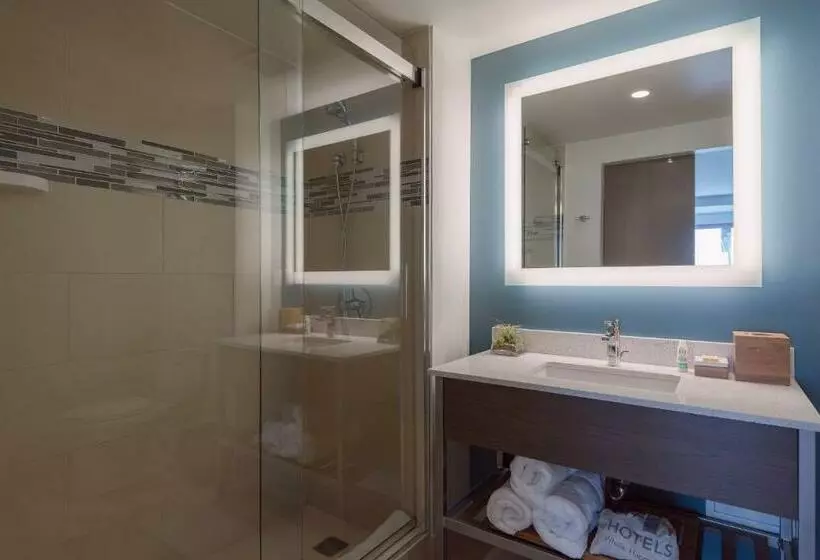 スイート, Even Hotel Brooklyn, An Ihg