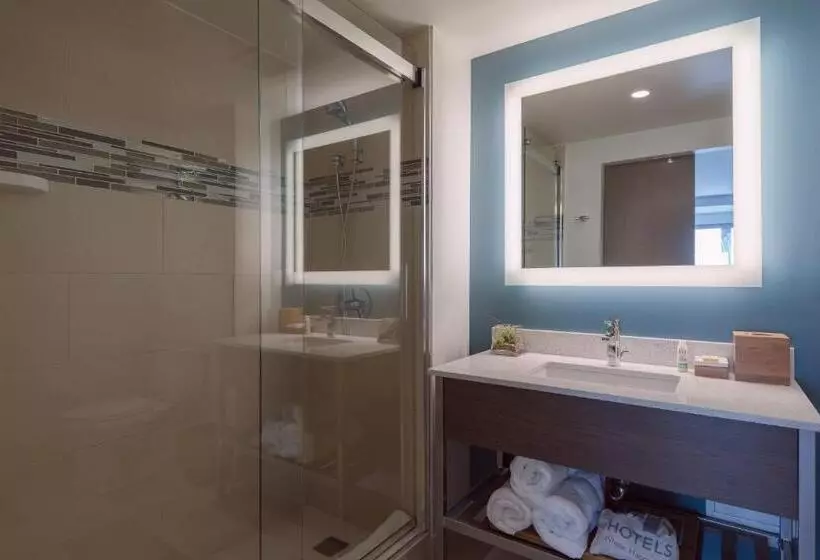 身障者適用キングサイズベッドルーム, Even Hotel Brooklyn, An Ihg