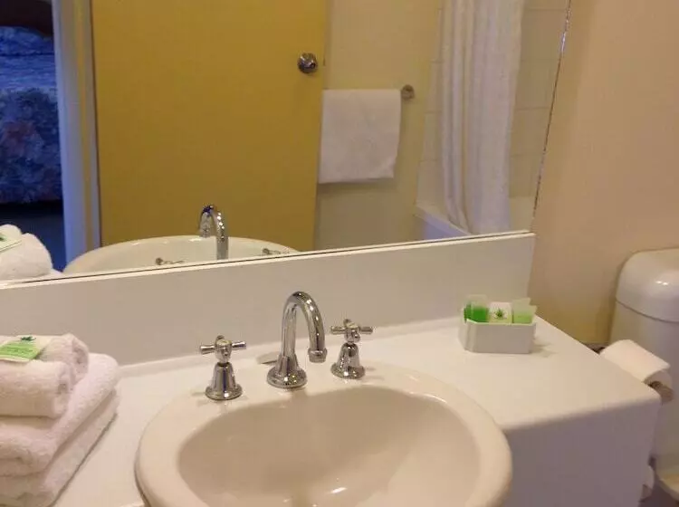 Deluxe-huone, Hopkins House Motel & Apartments
