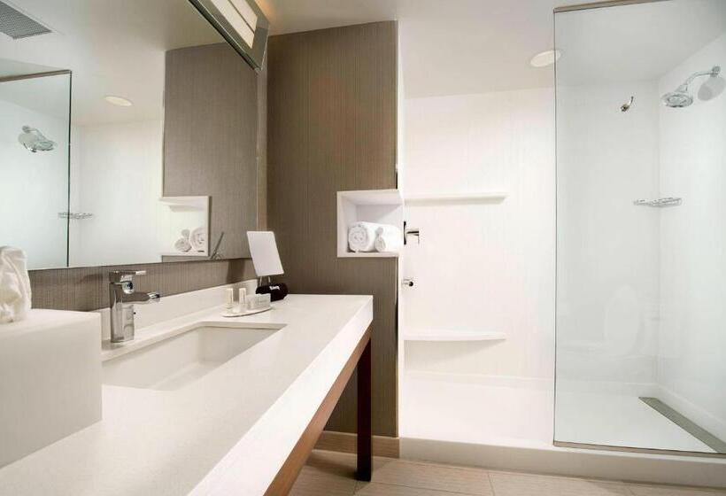 スタンダードルーム, Courtyard By Marriott Atlanta Ne/duluth Sugarloaf