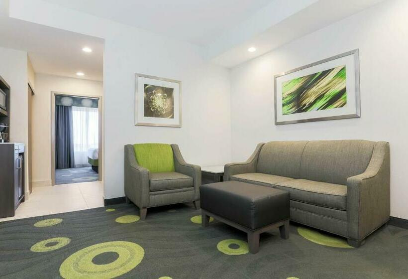 جناح سرير كينج, Hilton Garden Inn Ardmore