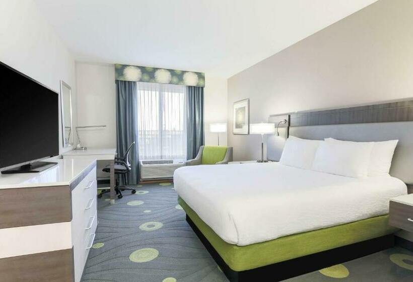 Стандартный Номер Кровать Кинг, Hilton Garden Inn Ardmore