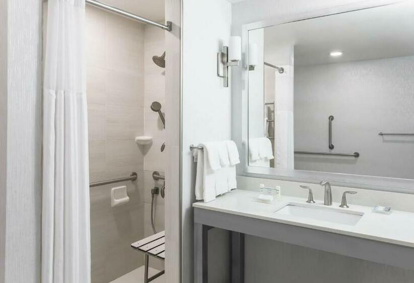 Номер Стандарт Кровать Кинг Адаптированный для Инвалидов, Hilton Garden Inn Ardmore