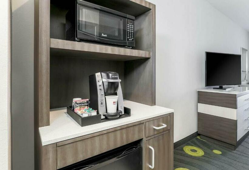 غرفة قياسية سرير كينج لذوى الإحتياجات الخاصة, Hilton Garden Inn Ardmore