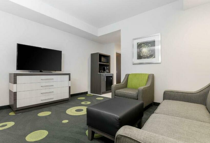 جناح سرير كينج, Hilton Garden Inn Ardmore