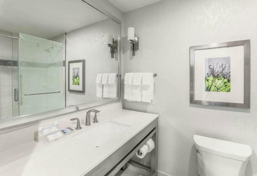 غرفة قياسية, Hilton Garden Inn Ardmore