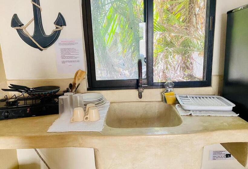 スタンダードルーム, La Constanza De Rulo