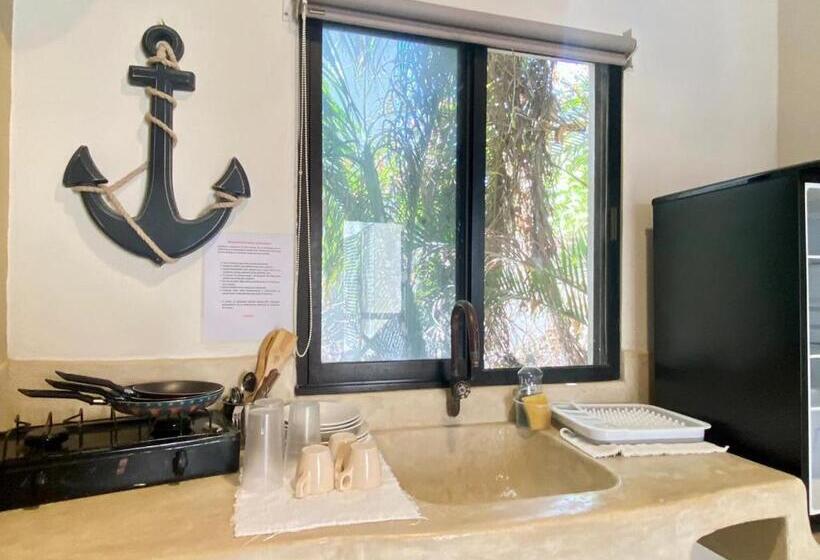 スタンダードルーム, La Constanza De Rulo