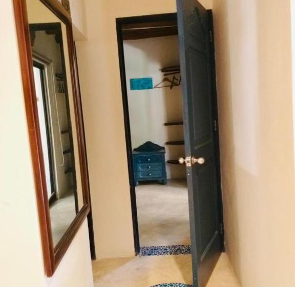 スタンダードルーム, La Constanza De Rulo