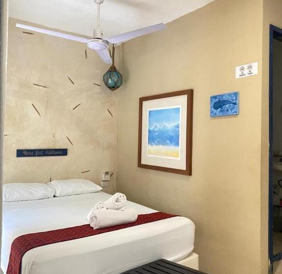 エコノミールーム, La Constanza De Rulo