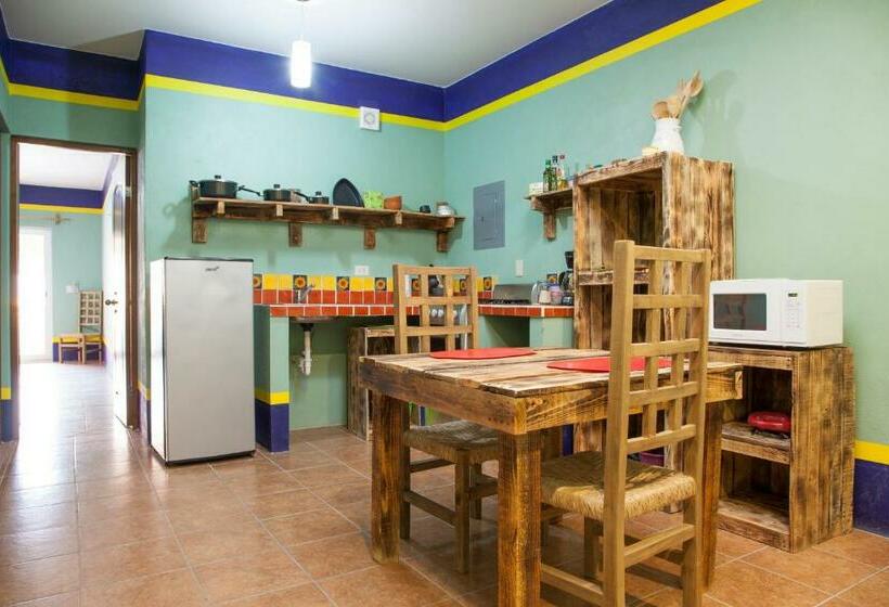 Апартаменты 1 Спальня Вид на Бассейн, Casa Juarez B&b